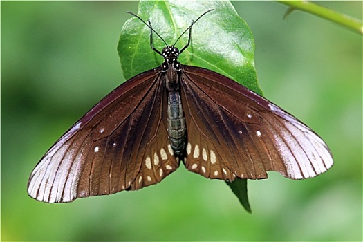 xổ số miền bác