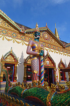 soi cau binh dinh vina24h