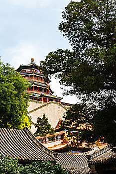 soi cầu lô bạch thủ miễn phí