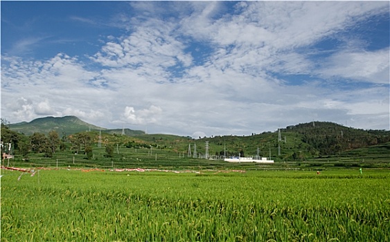 thống kê xổ số cà mau