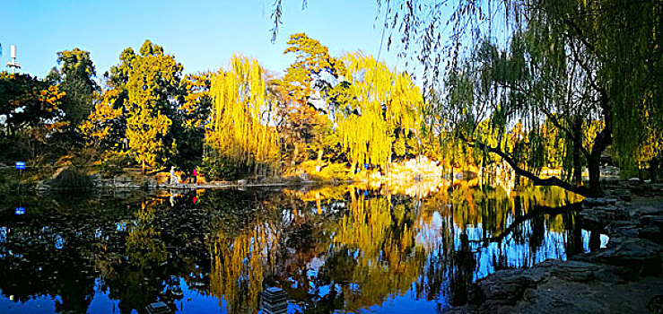 lo bach thu khung 3
