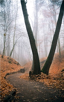 du doan giai dac biet