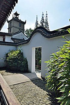 soi câu 2888
