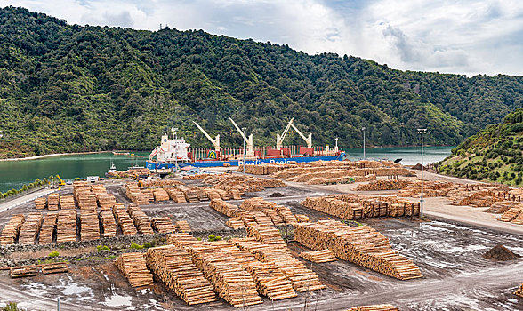bạch thủ lô miền bắc miễn phí