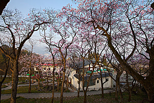 cầu lô đẹp