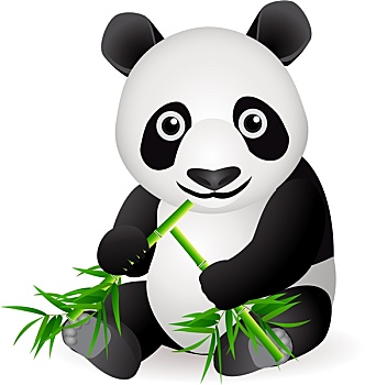 soi cầu đề hôm nay