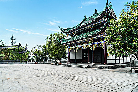 soi cau tuan