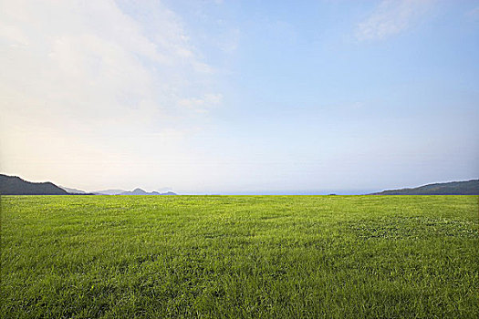 xổ số thành phố hồ chí minh