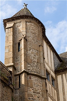 soi cau lo de rong bach kim