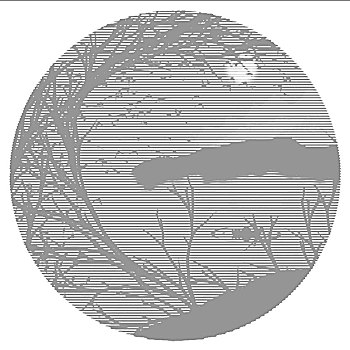 soicau29