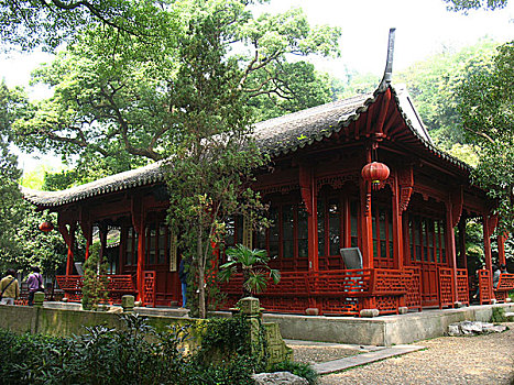 bach thu lo mien bac