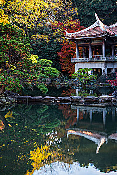 lô bach thu hom nay