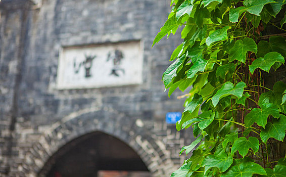 miền bắc thứ sáu
