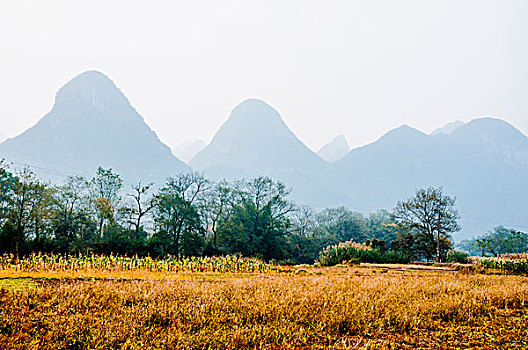 số khánh hòa