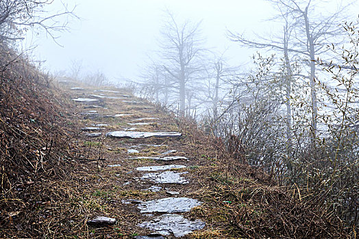 xổ số wap