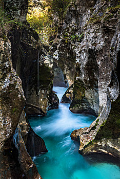 soi cau rong bach kim 247