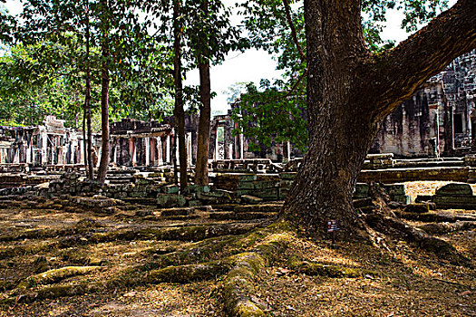 soi cau bach thu xsmb hom nay