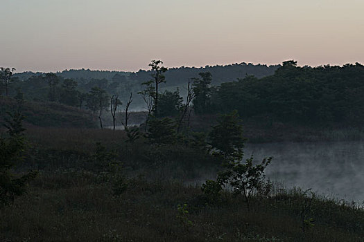 soi bạch thủ
