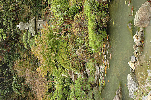 du doan rong bach kim