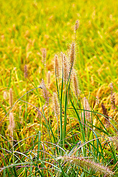 du doan mn minh ngoc