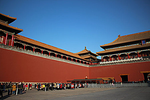 rong bach kim mien bac