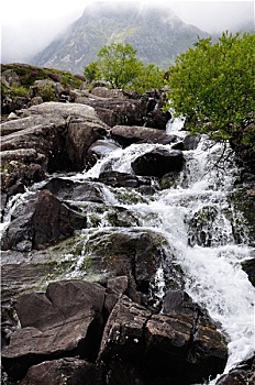 soi cau lo bach thu khung 5 ngay