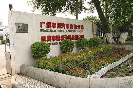 soi cau vua nha cai