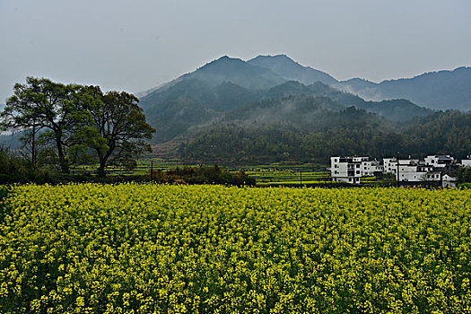 choi so de lam giau