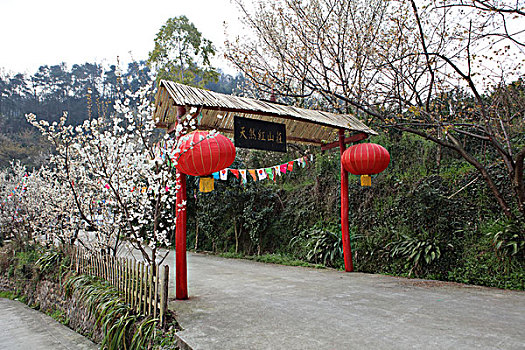 xs thu ba hang tuan
