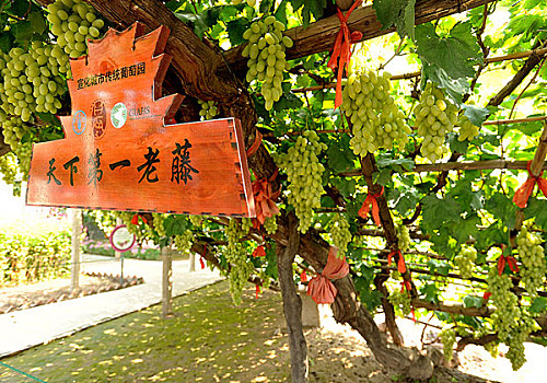 soi cầu bạch thủ lô hôm nay