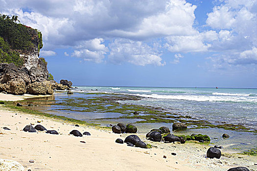soi lo bạch thủ