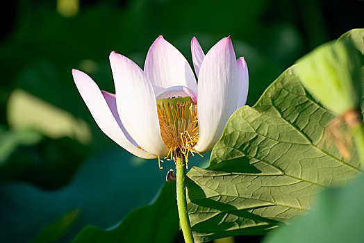tỷ lệ lô đề