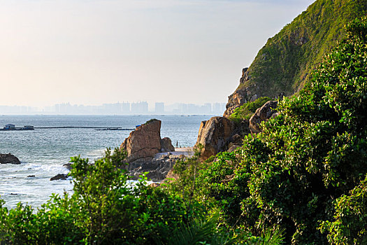 soi cau bach thu ngay hom nay