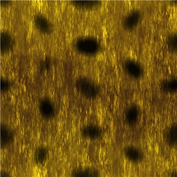 soi cau mb 6666