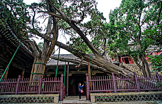 cách tính đầu đuôi số đề