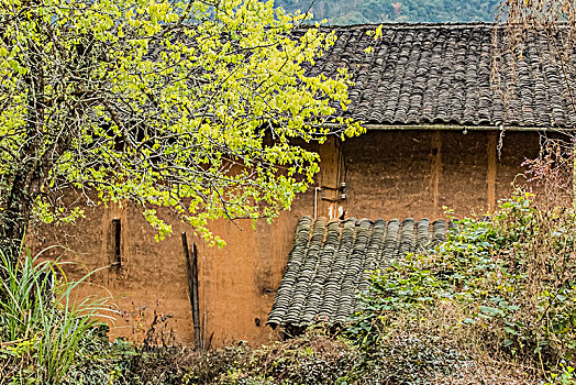 thống kê bạch thủ