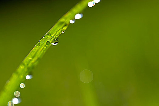 hướng dẫn chơi xsmb