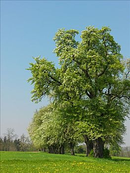 xổ số hậu giang