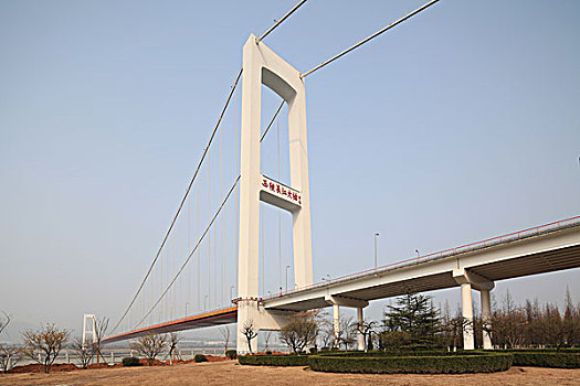 rong vang bach kim