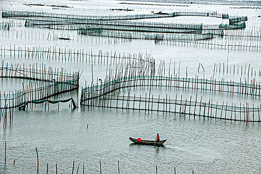 xổ số tây ninh trực tiếp