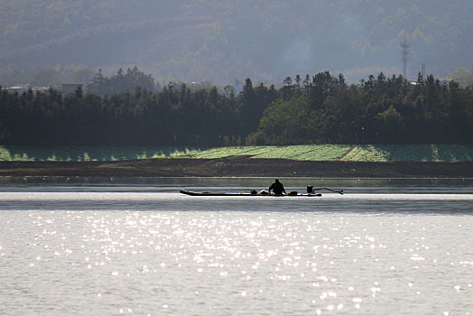 soi cau 2 nhay rong bach kim