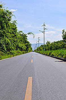 soi bach thu lo hom nay
