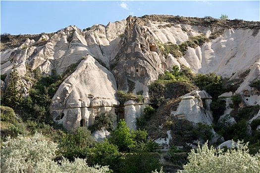 soi câu rong bach kim