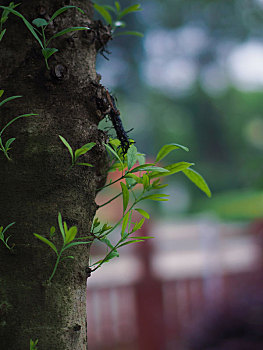 soi cầu xổ số miền bắc miễn phí hôm nay