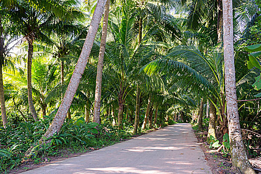 lo bạch thủ đẹp hôm nay