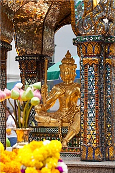 xs thai binh