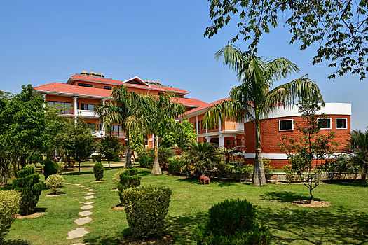 soi cau 6886