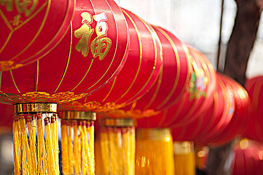 soi cầu miền bắc 247
