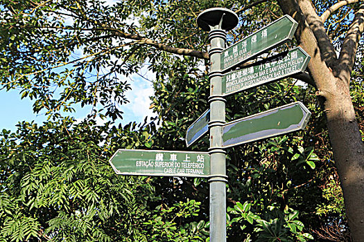 bạch thủ là giải mấy