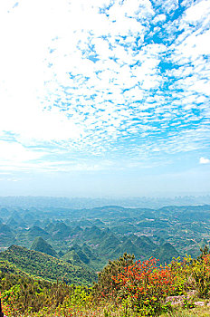 soi cau doan so